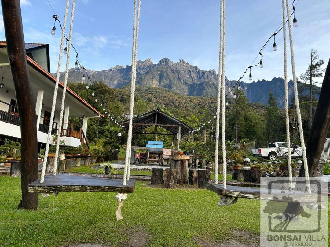 Bonsai @ Mesilou 盆栽小苑 Kundasang