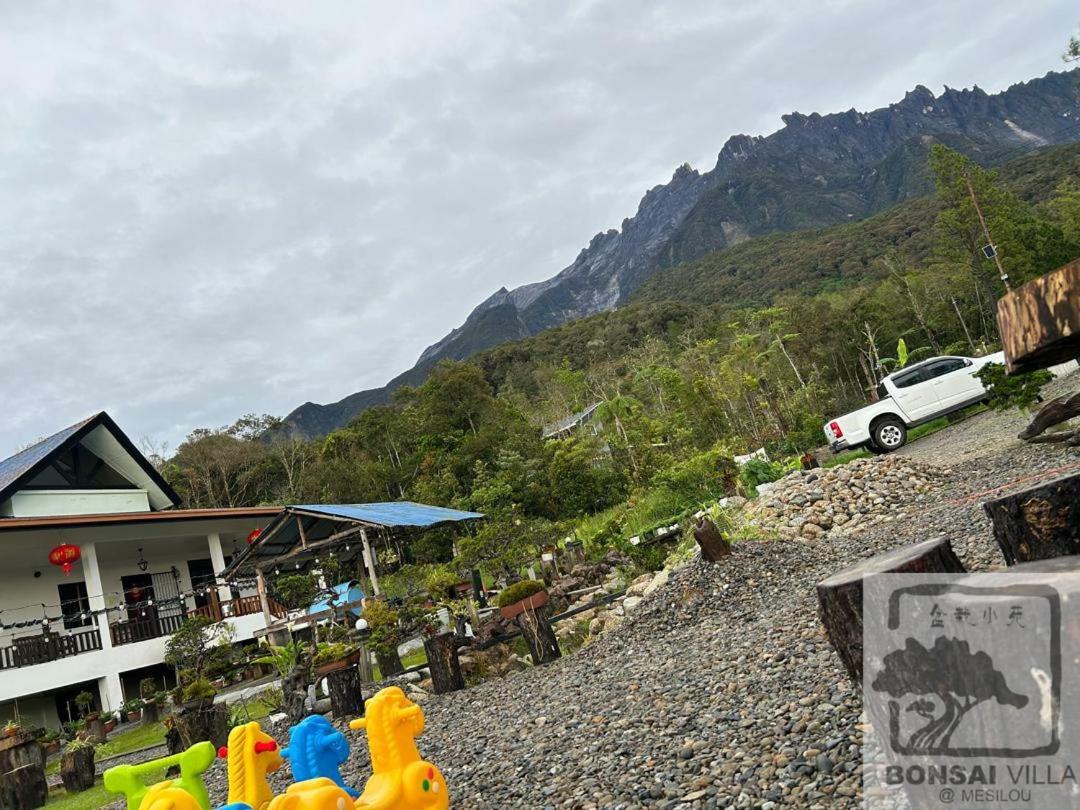 Bonsai @ Mesilou 盆栽小苑 Villa Kundasang