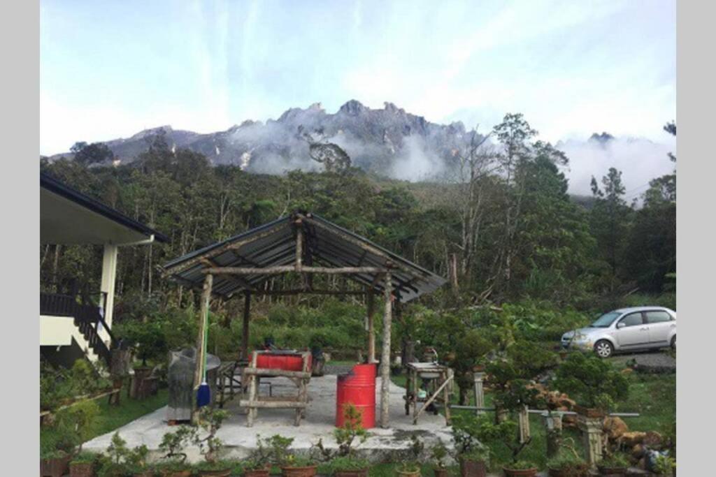 Bonsai @ Mesilou 盆栽小苑 Kundasang